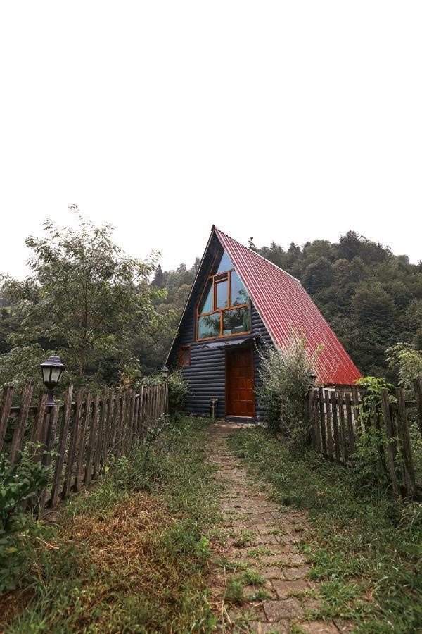 Bungalove Tatil Koeyue Çamlıhemşin Extérieur photo